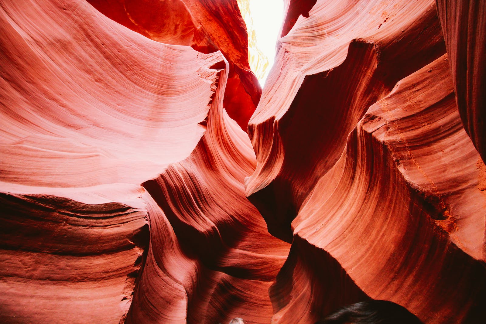 rocks